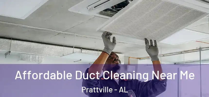 Affordable Duct Cleaning Near Me Prattville - AL
