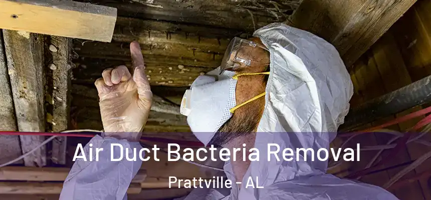 Air Duct Bacteria Removal Prattville - AL