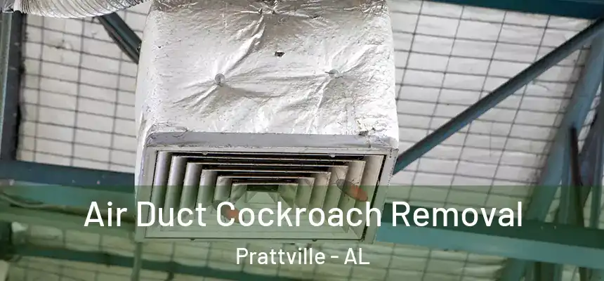  Air Duct Cockroach Removal Prattville - AL