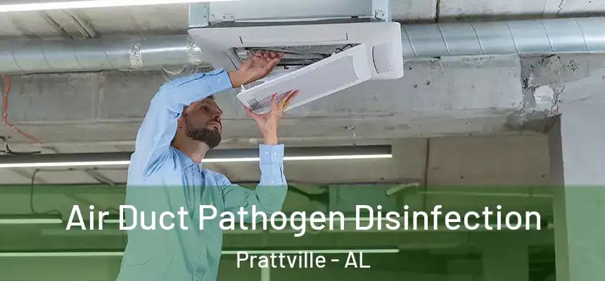 Air Duct Pathogen Disinfection Prattville - AL