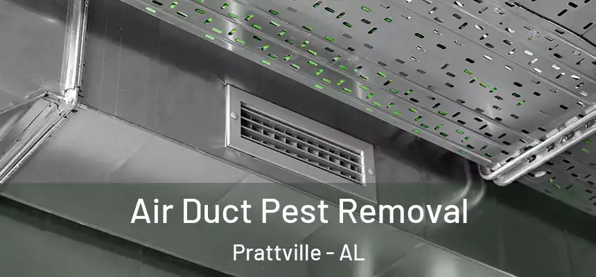  Air Duct Pest Removal Prattville - AL