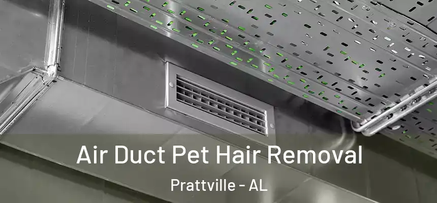  Air Duct Pet Hair Removal Prattville - AL