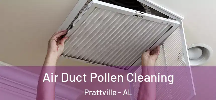 Air Duct Pollen Cleaning Prattville - AL