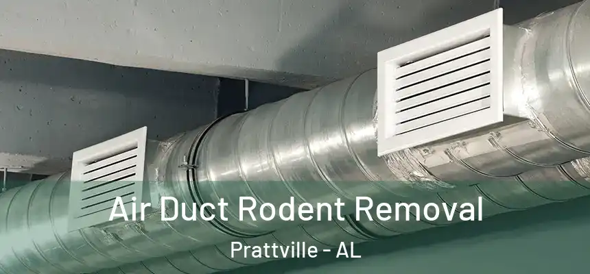 Air Duct Rodent Removal Prattville - AL