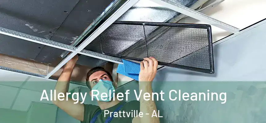  Allergy Relief Vent Cleaning Prattville - AL