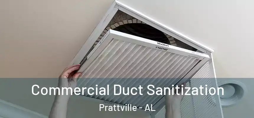 Commercial Duct Sanitization Prattville - AL
