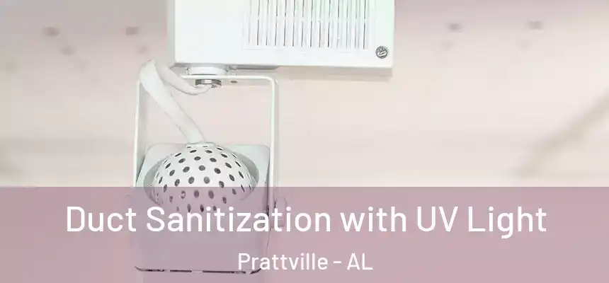  Duct Sanitization with UV Light Prattville - AL