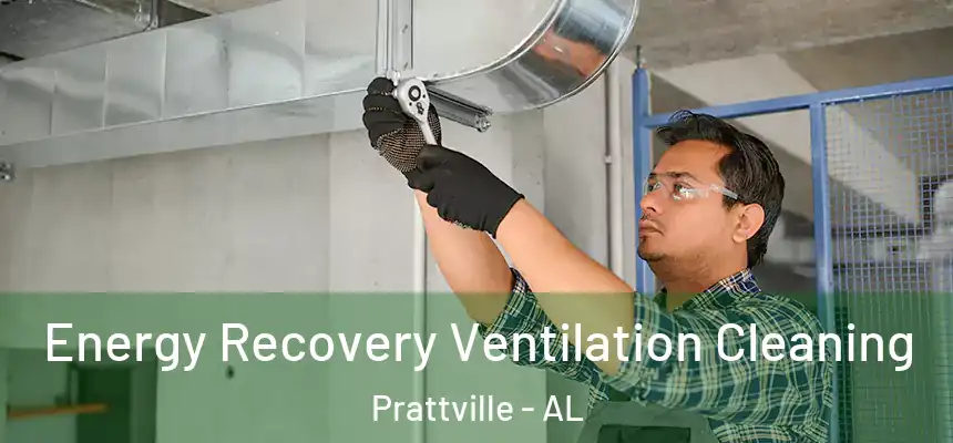 Energy Recovery Ventilation Cleaning Prattville - AL