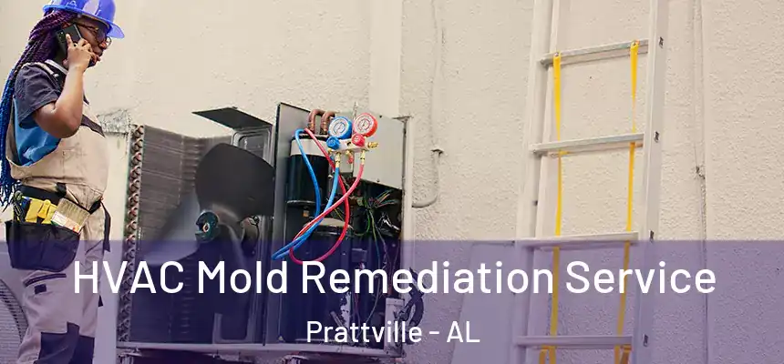 HVAC Mold Remediation Service Prattville - AL
