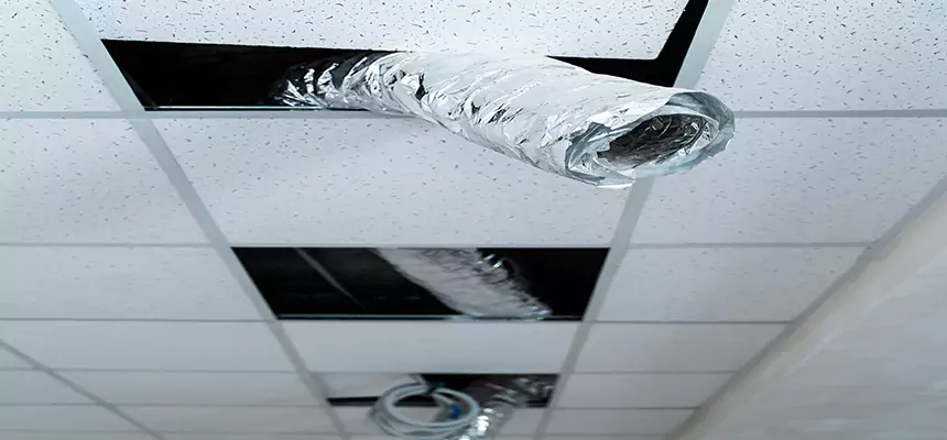 Affordable HVAC Sanitizing After Pest Removal in Prattville