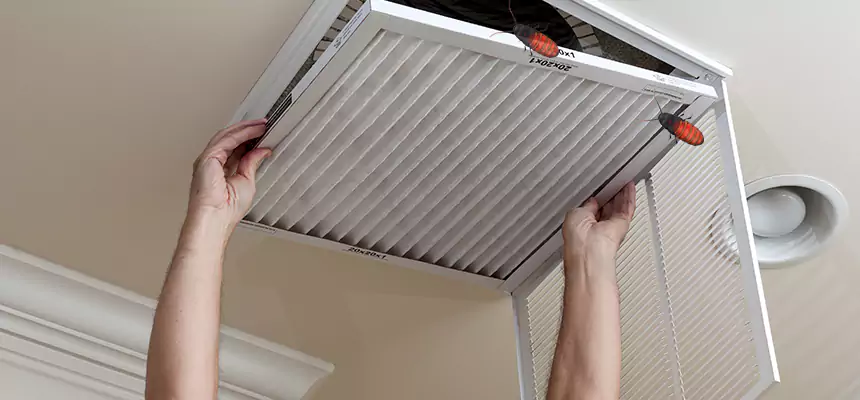 Our Insect Removal from Air Ducts Services in Prattville, AL
