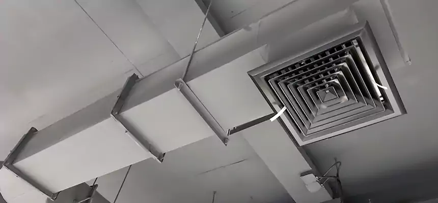 Our Pest Removal From Ducts Services in Prattville, AL