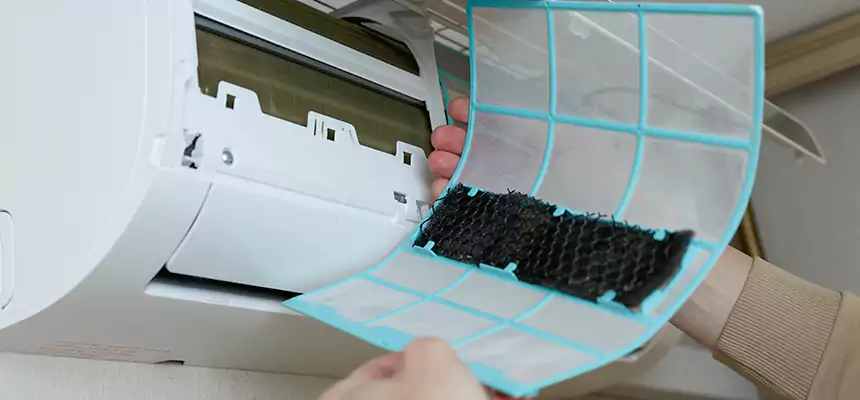 Gentle Ductwork Odor-Control Pet Dander Duct Cleaning in Prattville, AL