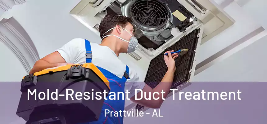 Mold-Resistant Duct Treatment Prattville - AL