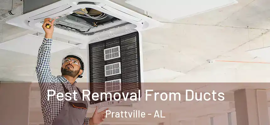  Pest Removal From Ducts Prattville - AL