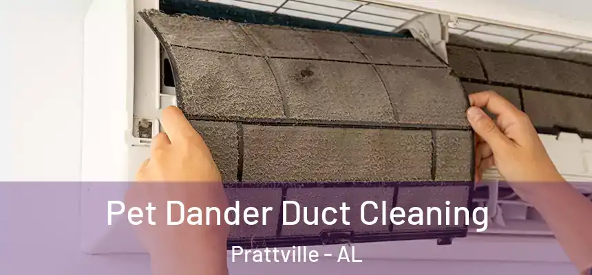 Pet Dander Duct Cleaning Prattville - AL