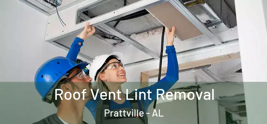Roof Vent Lint Removal Prattville - AL