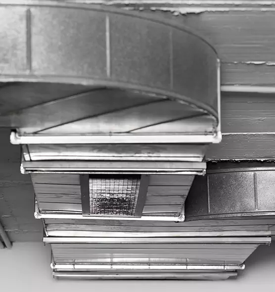 Professional Air Duct Pet Hair Removal in Prattville, AL