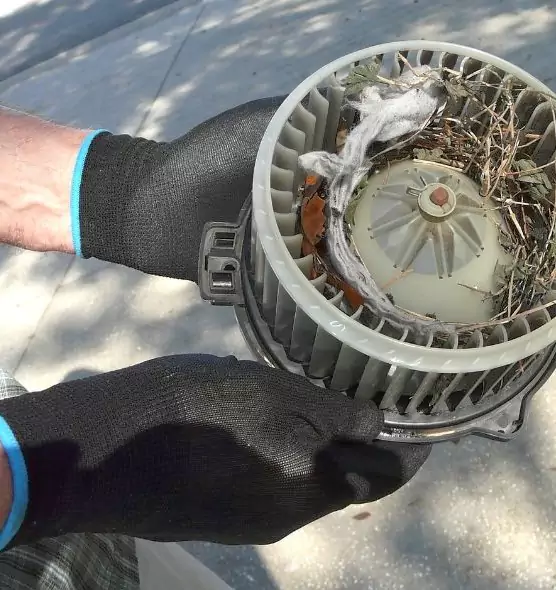 About Air Duct Rat Removal in Prattville, AL