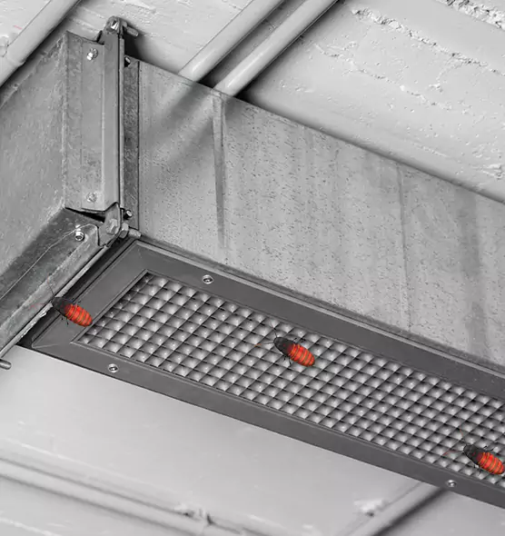 Affordable Insect Removal from Air Ducts in Prattville, AL