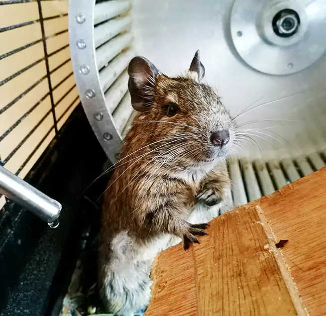 Why Homeowners & Businesses Trust Us Prattville, AL